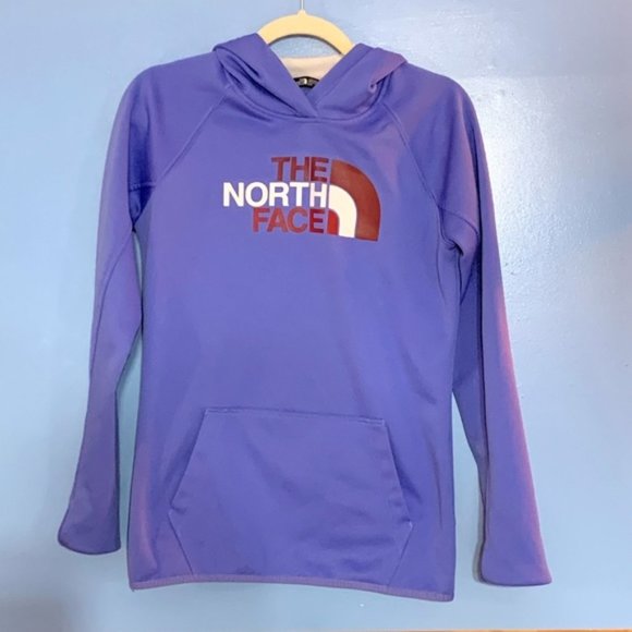 The North Face Hoodie - Picture 1 of 3